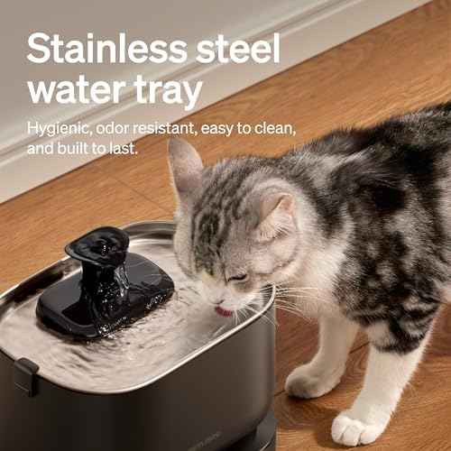 Cordless Cat Water Fountain
