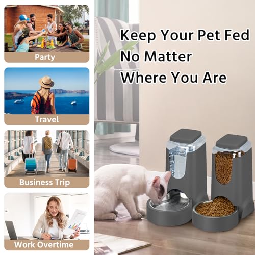 2 Pack Automatic Cat Feeder and Gravity Stainless Steel Water Dispenser