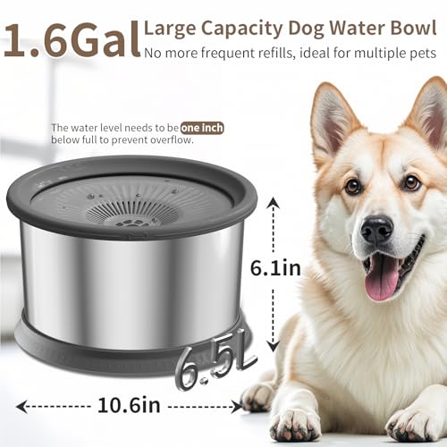 6.5L Dog Water Bowl No Spill 1.6 Gallon Stainless Steel Water Bowl with 4 Filters for Dogs 220oz Large Capacity No Splash Slow Drinking Feeder with Anti