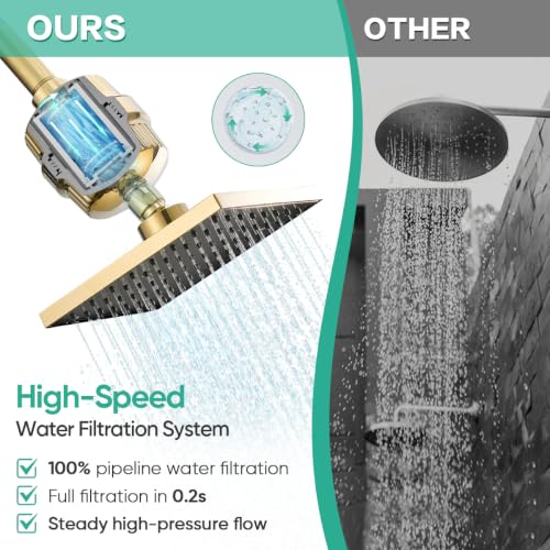 High Pressure Filtered Shower Head with Filters for Hard Water Combo