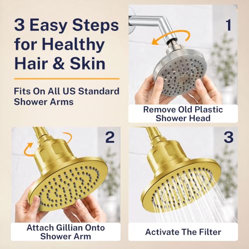 Gillian Filtered Shower Head for Hard Water
