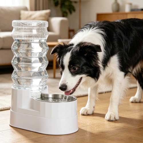 9L Elevated Dog Water Dispenser