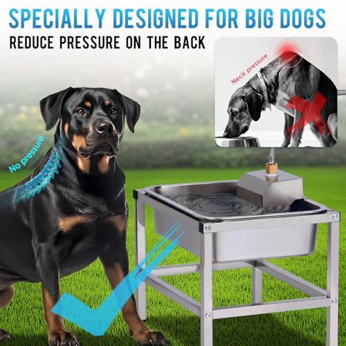 3Gal Automatic Dog Water Bowl Dispenser for Large Dogs Outdoor