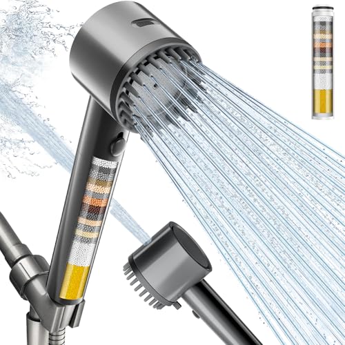 Filtered Shower Head with Handheld