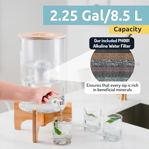 pH Recharge Glass Alkaline Water Filter Dispenser System
