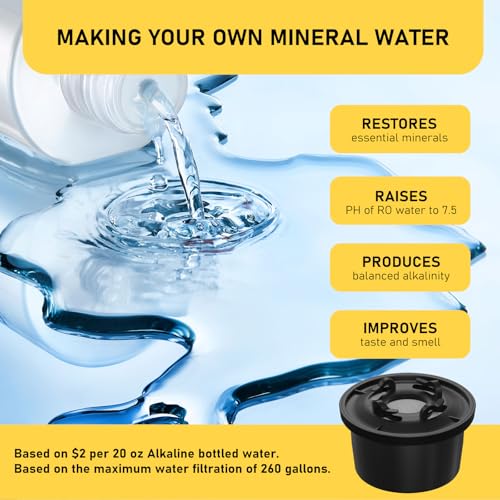 RO100ROPOT Remineralization Water Filters Replacement (2 Count)