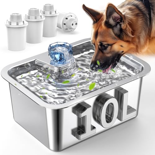 Dog Water Fountain