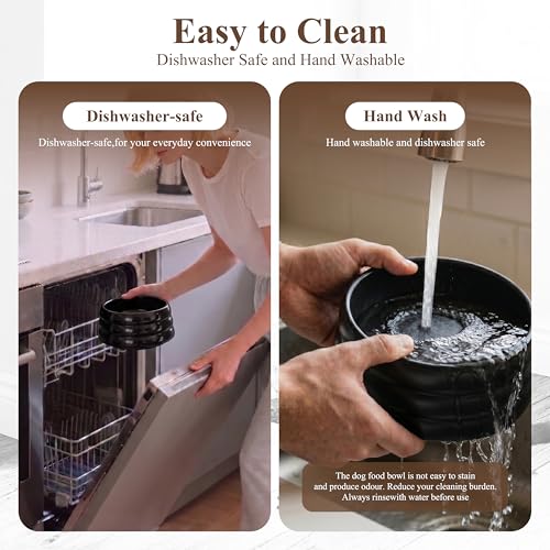 BOBO & Bowl Dog Water Bowl Food