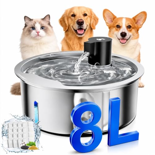 Dog Water Fountain