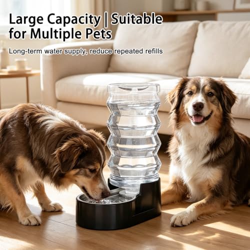 9L Filtered Dog Water Dispenser