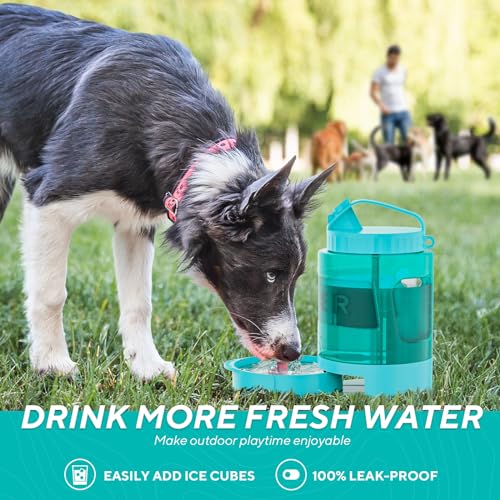 77oz Portable Dog Water Bottle