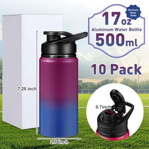 10 Pack Aluminum Water Bottles Bulk 17oz Dark Red (10 Count)