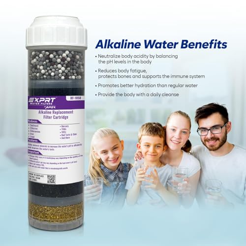 RF 1050 Alkaline Filter Cartridge