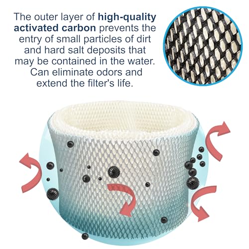 2 pack Wick Filter compatible with Walgreens 890 (2 Count)