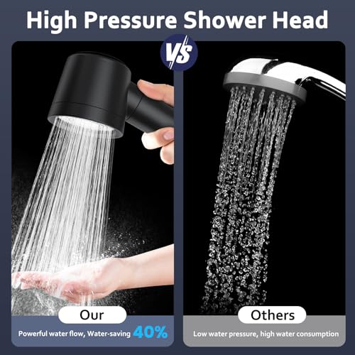 Filtered Shower Head with Handheld