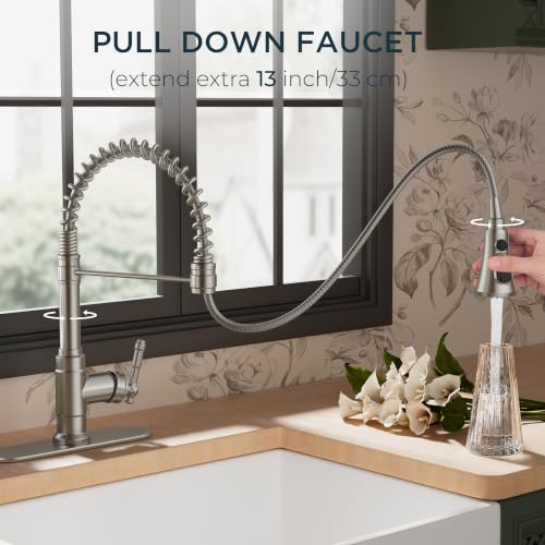 Vintage Kitchen Faucet with Pull Down Sprayer