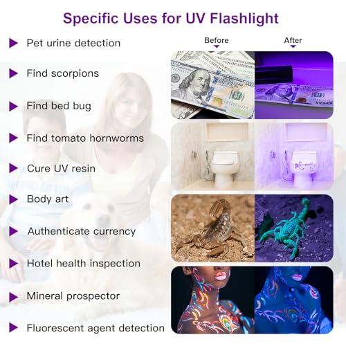 2 UV Black Light Flashlight (2 Count)