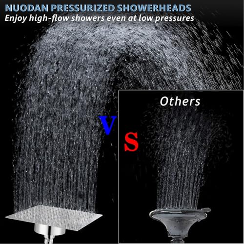 Large Rain Shower Head with Filtered