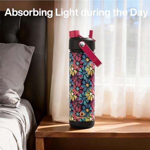 Insulated Water Bottle with Straw Stainless Steel Water Bottle