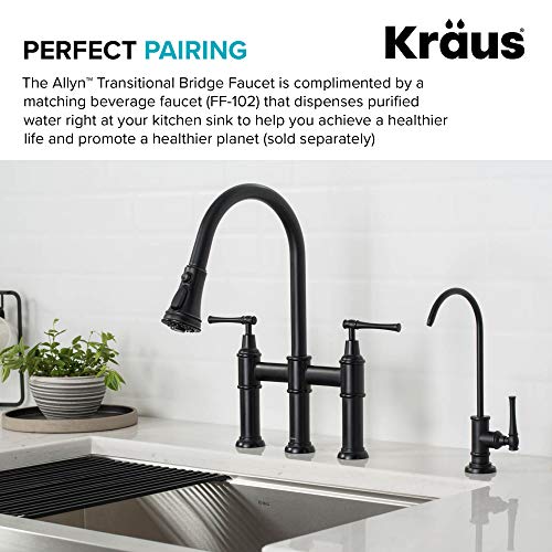 Allyn Transitional Bridge Kitchen Faucet with Pull