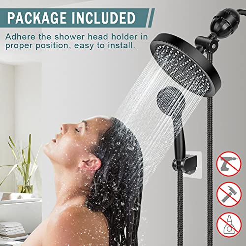 Filtered Shower Head with Handheld