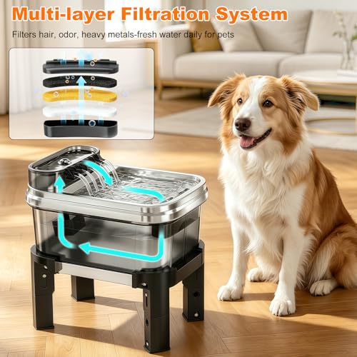9L Elevated Stainless Steel Dog Water Fountain with Filter