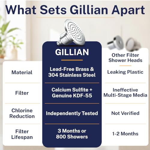 Gillian Filtered Shower Head for Hard Water