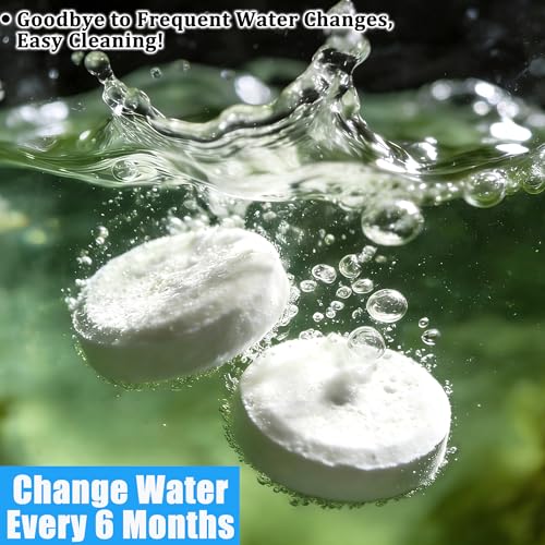 Premium Water Purification Tablets for Rowing Machine Tanks