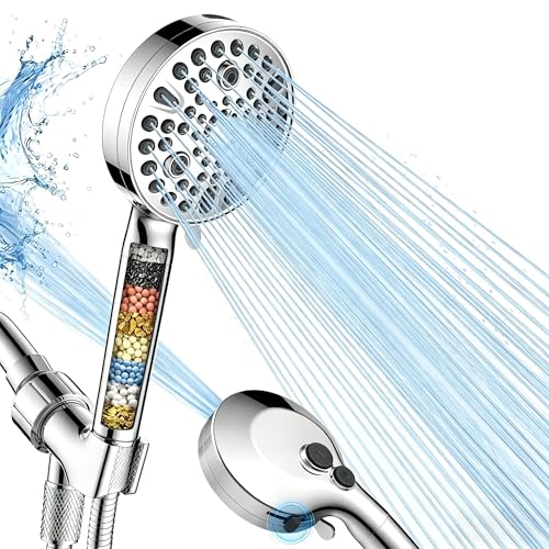 Filtered Shower Head with Handheld