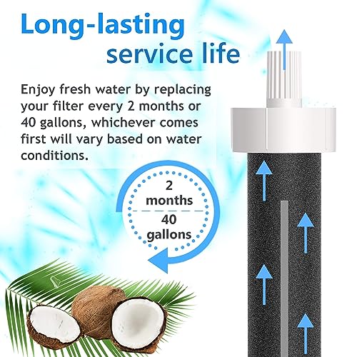 Water Bottle Filter Replacement for BB06 Compatible with Brita Hard Sided and Sport Bottle Filter BPA Free