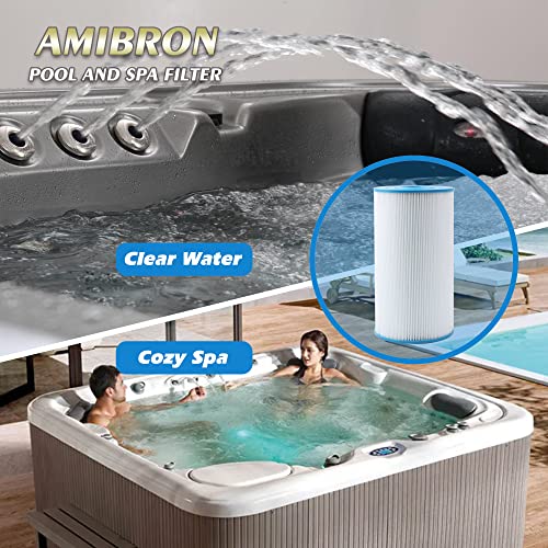71825 Replaces Hot Springs Spa Filters