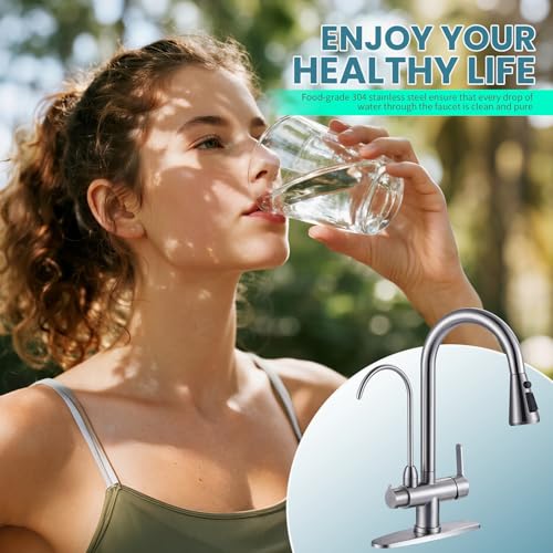 Kitchen Faucet with Water Filter Faucet