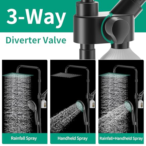 10" Filtered Rain Shower Head with Handheld Spray Combo