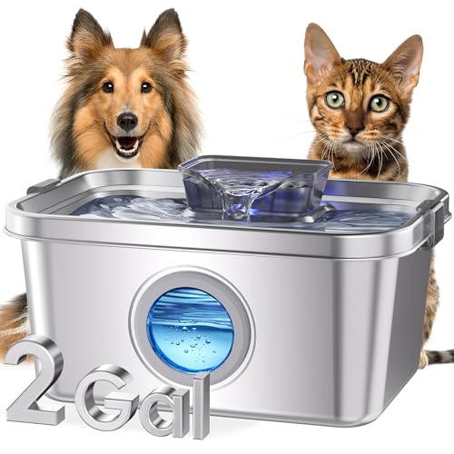 Dog Water Fountain