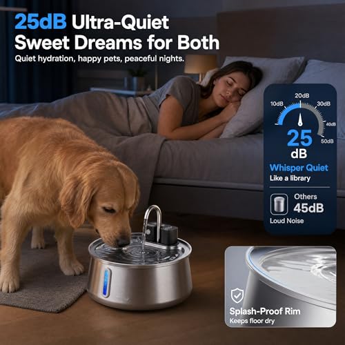 Dog Water Fountain