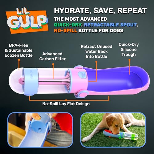 Lil Gulp Dog Water Bottle 15 Fl oz Portable Travel Bottle