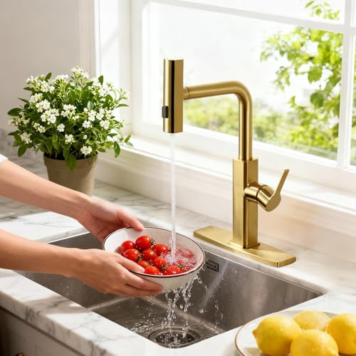Kitchen Faucet with Pull Down Sprayer