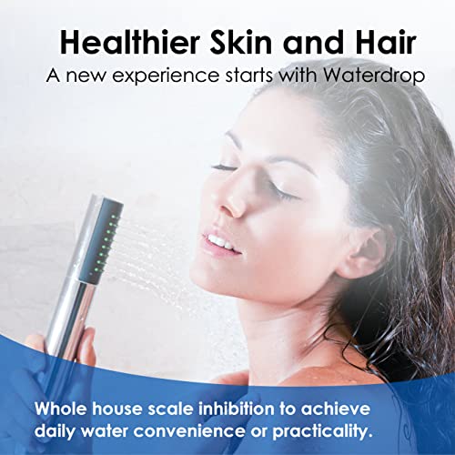 AP431 Whole House Scale Inhibitor with Adapter