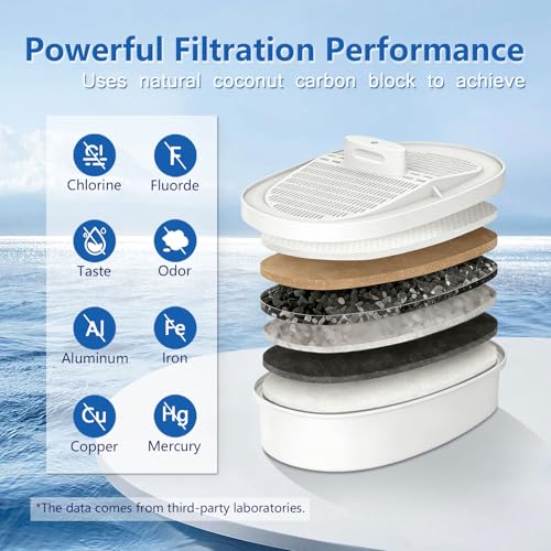 2 pack Replacement Filter for Waterdrop® WD (2 Count)