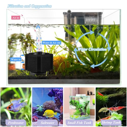 Aquarium Sponge Filter