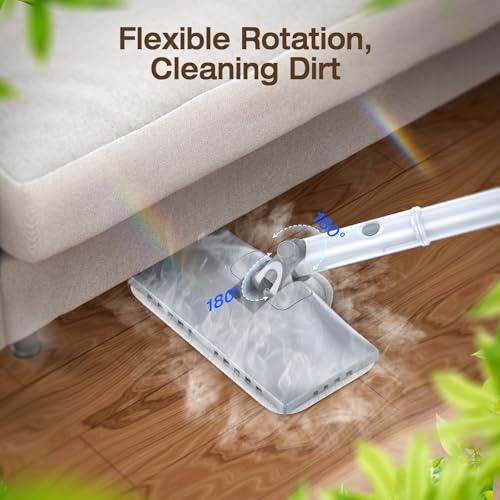 Steam Cleaner
