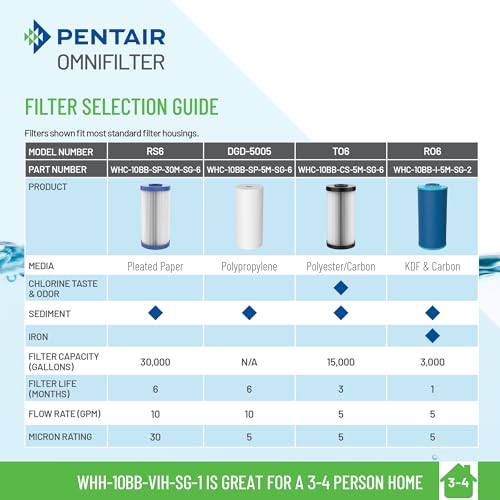 Pentair OMNIFilter Whole Home Valve