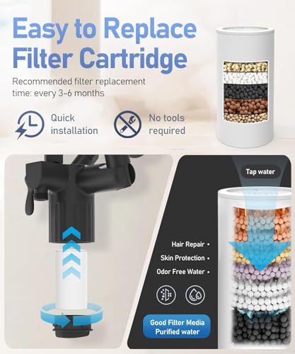 Filtered Shower Head with Handheld Spray Combo