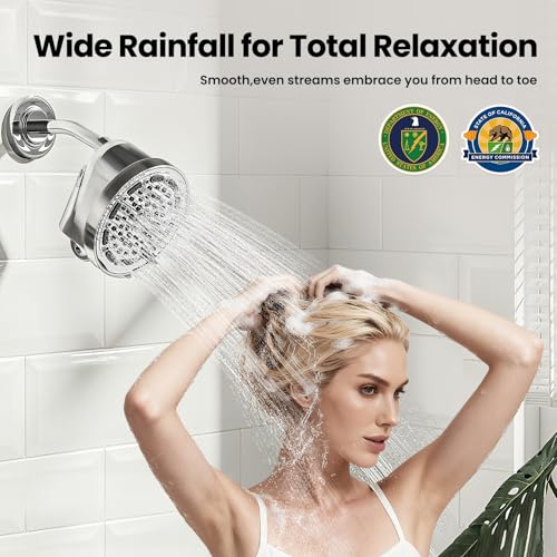 6 inch Rain Shower Head with Filter