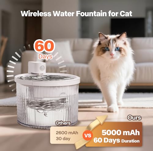 Wireless Water Fountain for Cats