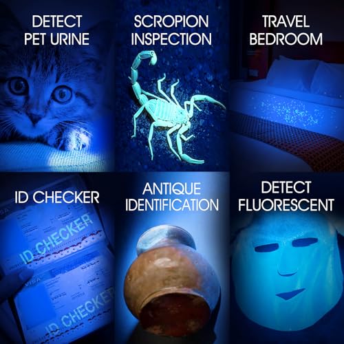 UV Flashlight USB Rechargeable (2 Count)