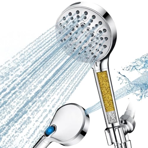 Filtered Shower Head with Handheld