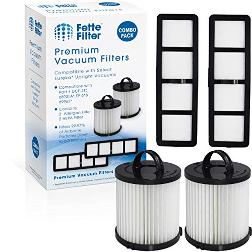 Vacuum Filter Compatible with Eureka DCF (2 Count)