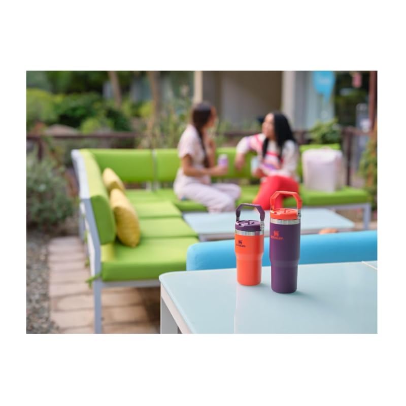 IceFlow Flip Straw Tumbler with Handle 20 oz