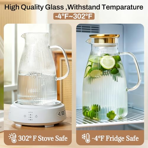 2 PACK Glass Pitcher with Lid and Widened Handle (68 Count)